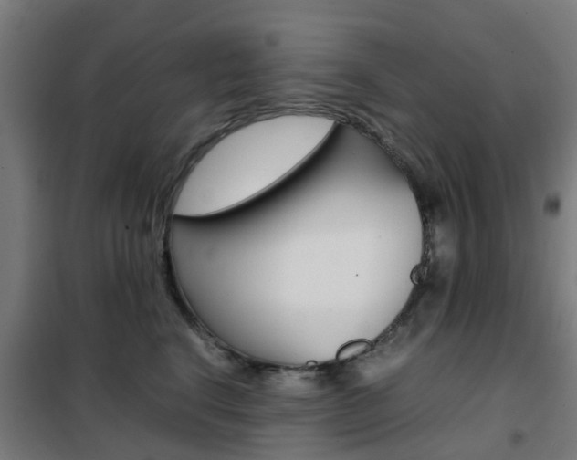 X0000102250664200807250902