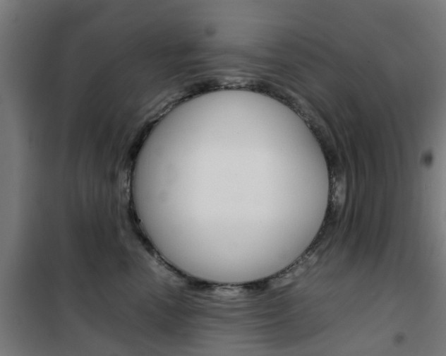 X0000102250666200807250902