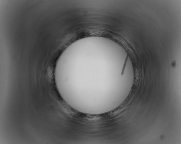 X0000102250667200807250902
