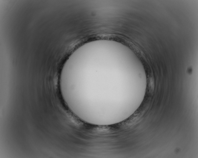X0000102250668200807250902