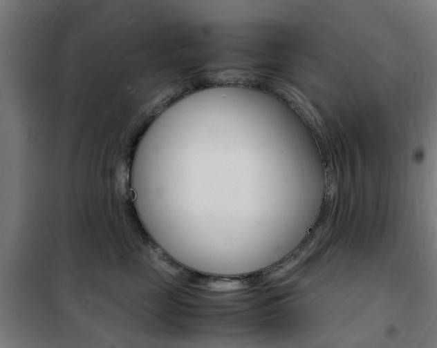 X0000102250669200807250902