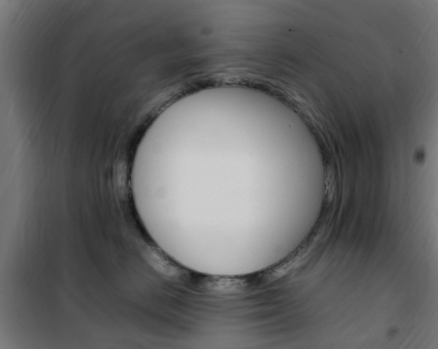 X0000102250670200807250902