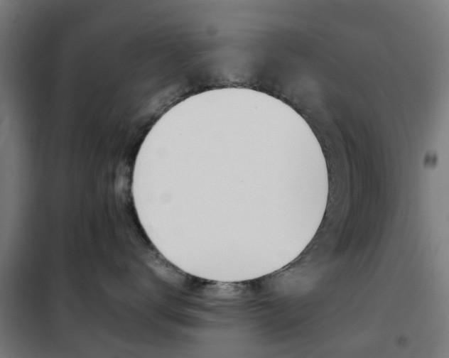 X0000102250672200807250902