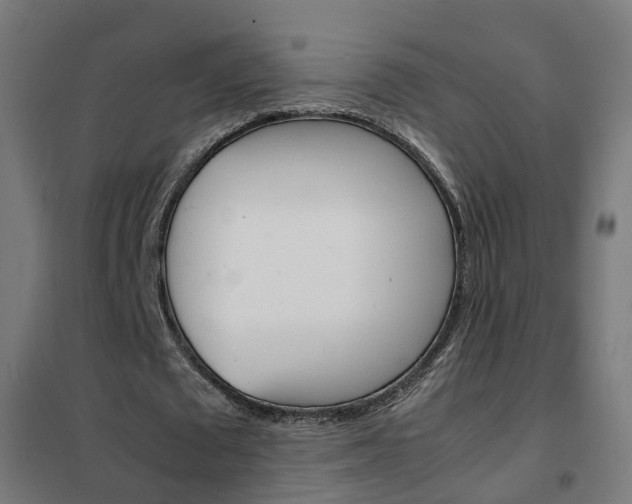 X0000102250673200807250901