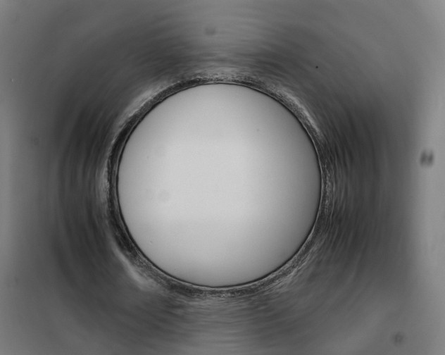 X0000102250674200807250901