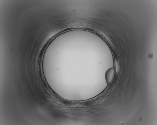 X0000102250675200807250901