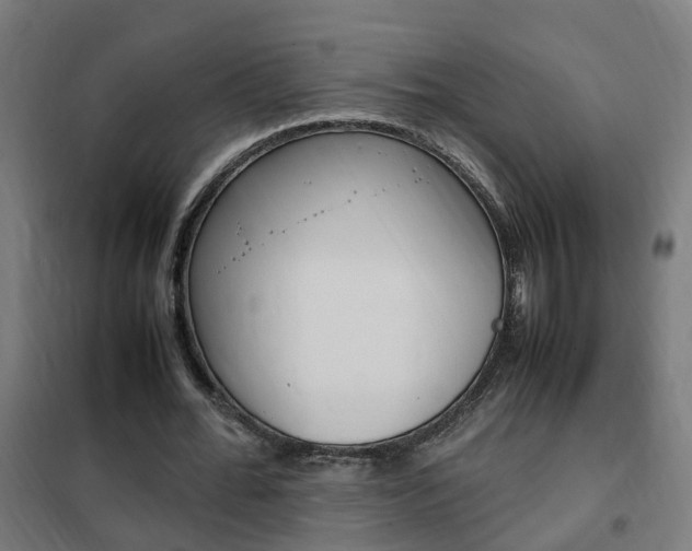 X0000102250676200807250901