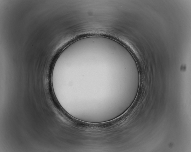 X0000102250677200807250901