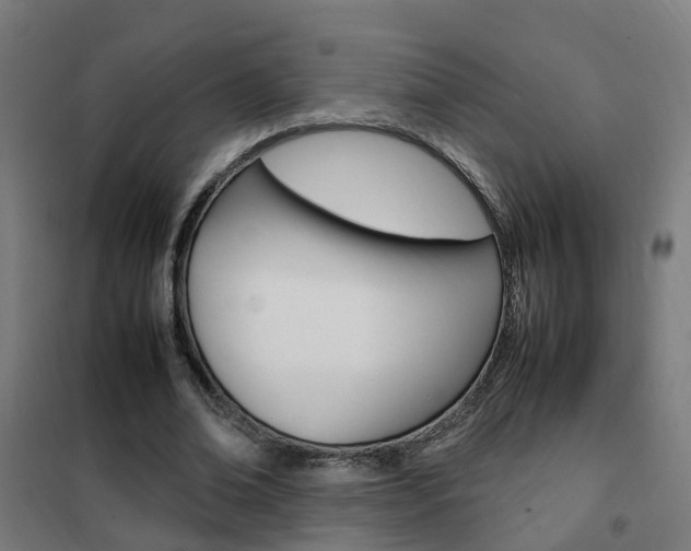 X0000102250678200807250901