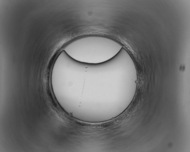 X0000102250679200807250901