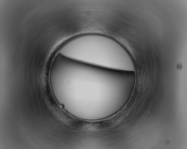 X0000102250680200807250901
