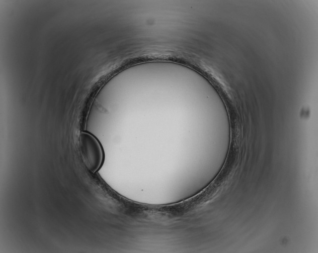 X0000102250681200807250901