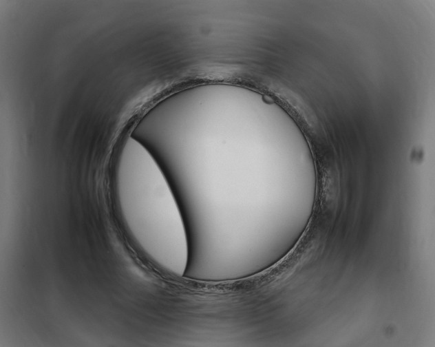 X0000102250682200807250901