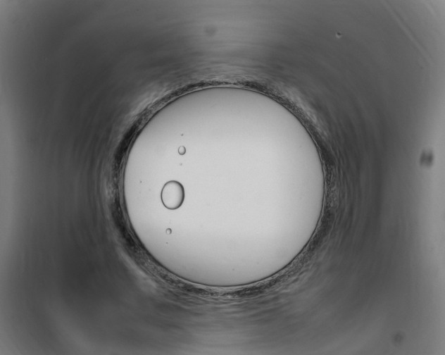 X0000102250683200807250901