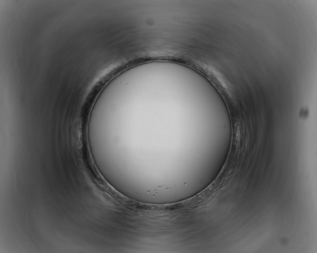 X0000102250684200807250901