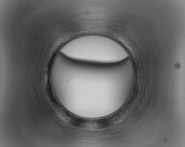 X0000102250685200807250901