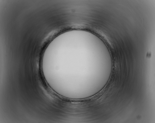 X0000102250686200807250901