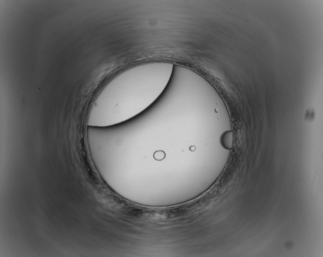 X0000102250687200807250901