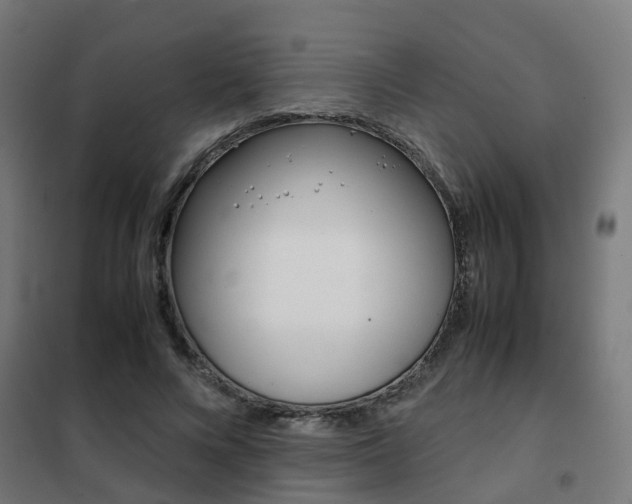 X0000102250688200807250901
