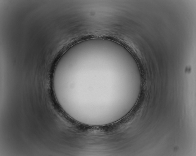 X0000102250689200807250901