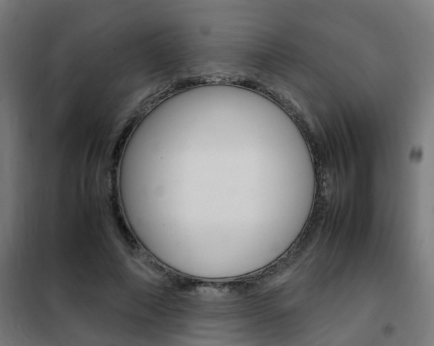 X0000102250690200807250901