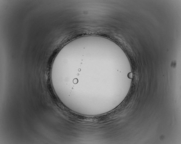 X0000102250691200807250901