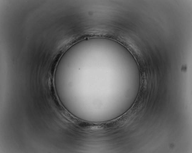 X0000102250692200807250901