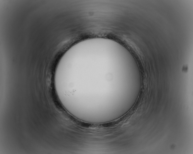 X0000102250693200807250901