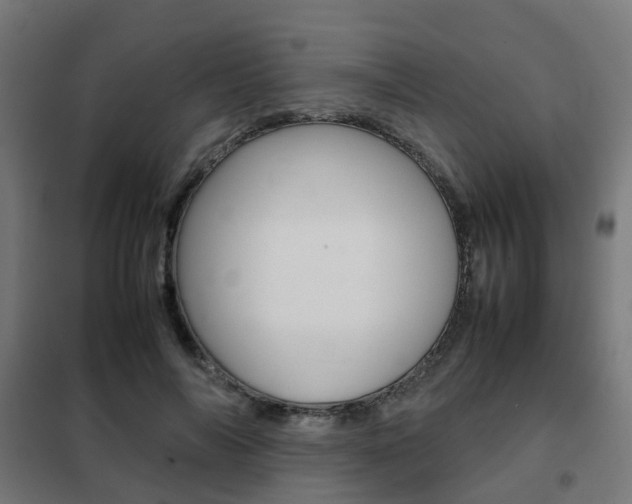 X0000102250694200807250901