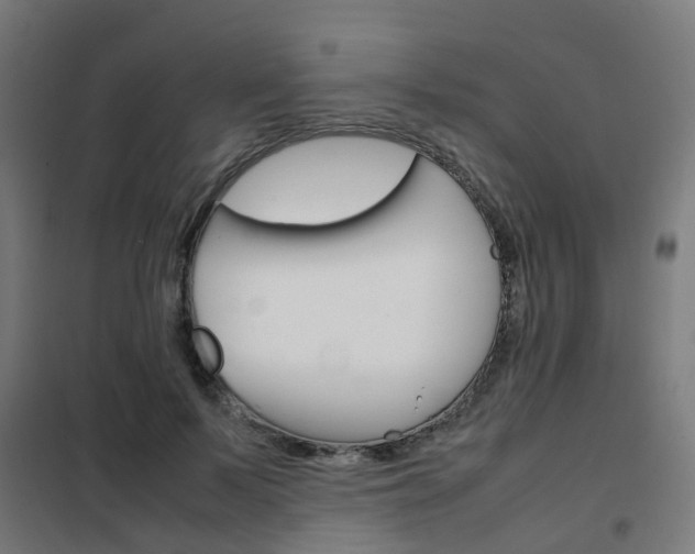 X0000102250695200807250901