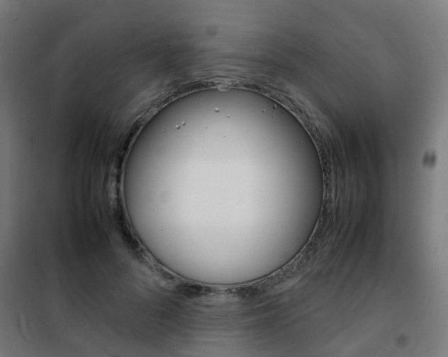 X0000102250696200807250901