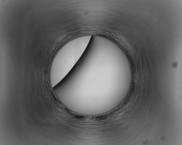 X0000102250697200807250901
