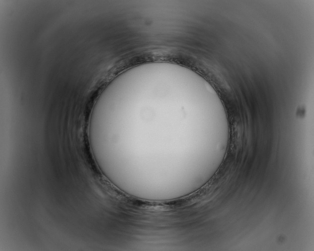 X0000102250698200807250901