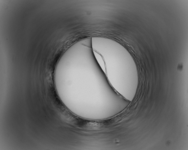 X0000102250699200807250901