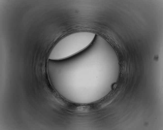 X0000102250700200807250901