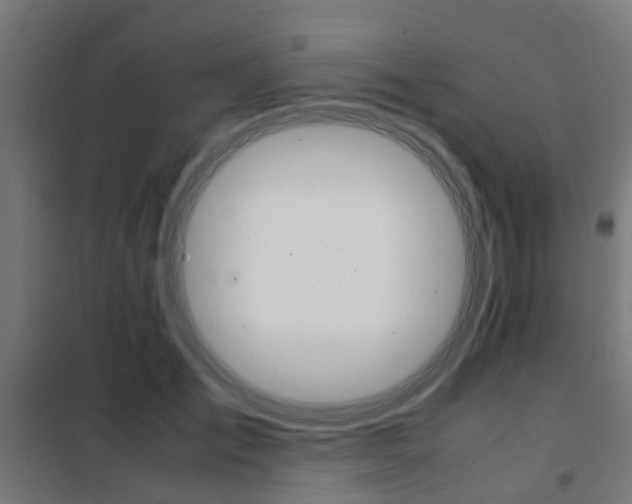 X0000102250701200807250901