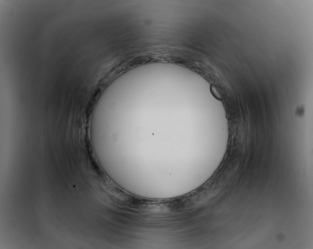 X0000102250702200807250901