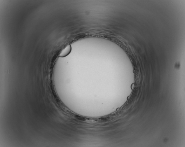 X0000102250703200807250901