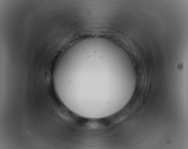 X0000102250704200807250901
