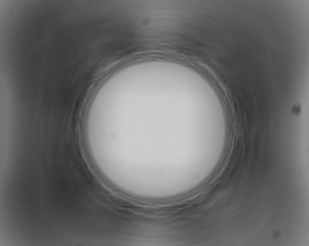 X0000102250705200807250901