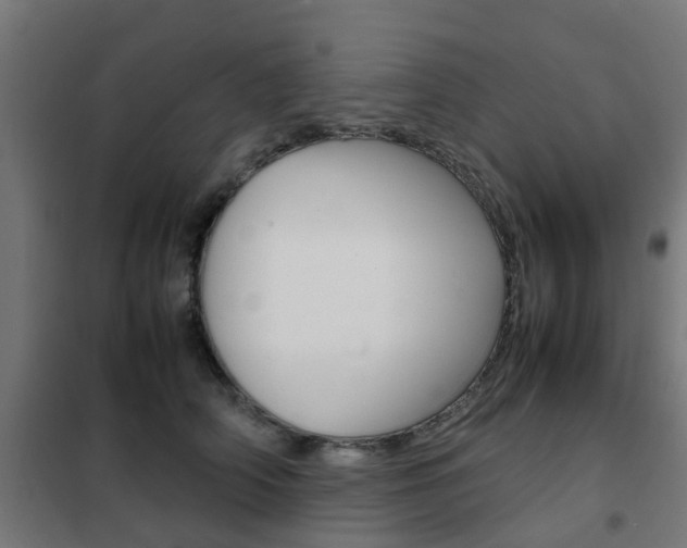 X0000102250706200807250901