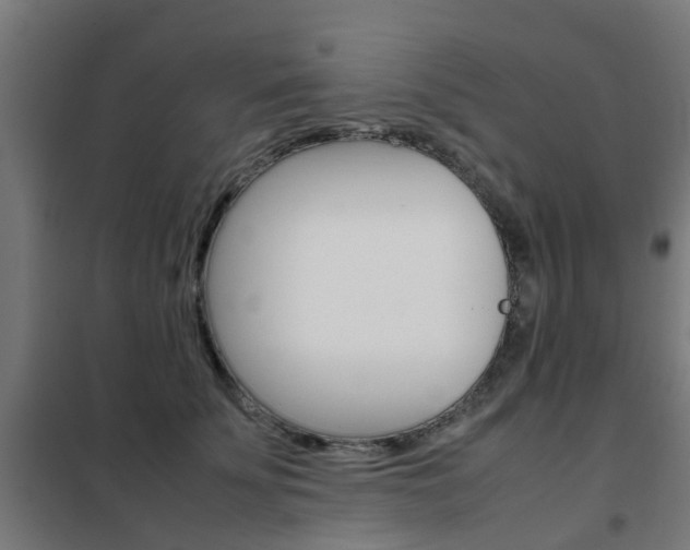 X0000102250707200807250901