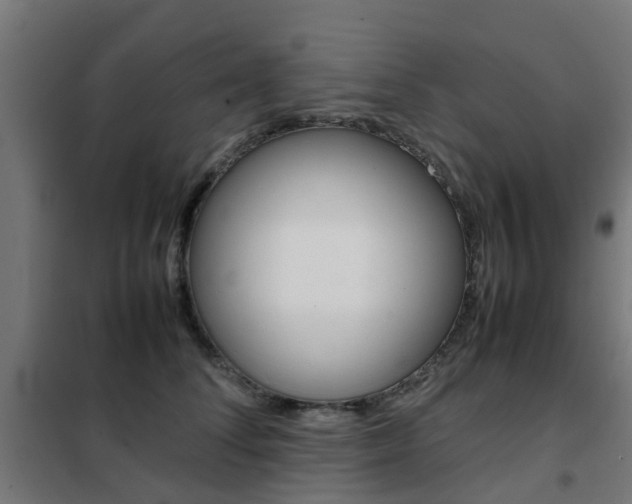 X0000102250708200807250901