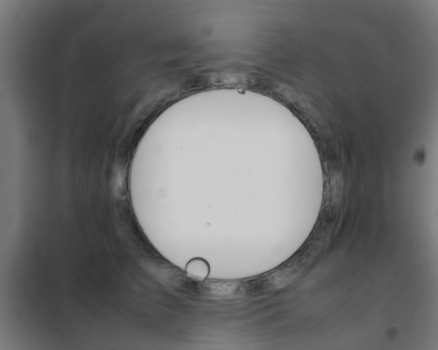 X0000102250709200807250901
