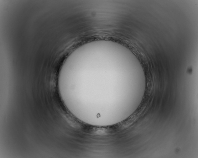 X0000102250710200807250901
