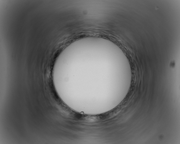 X0000102250711200807250901