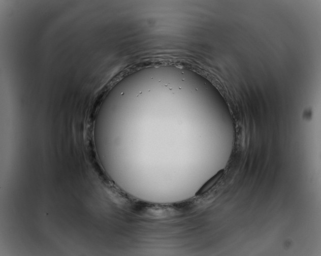 X0000102250712200807250901