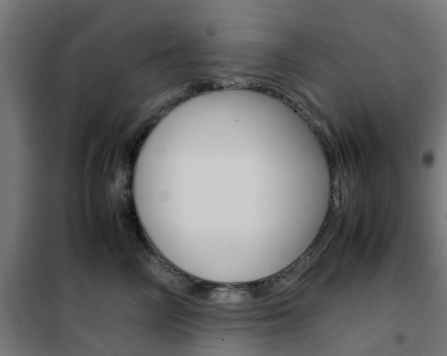 X0000102250714200807250901