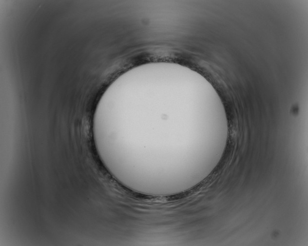 X0000102250715200807250901