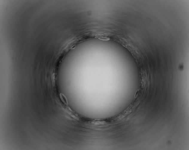 X0000102250716200807250901